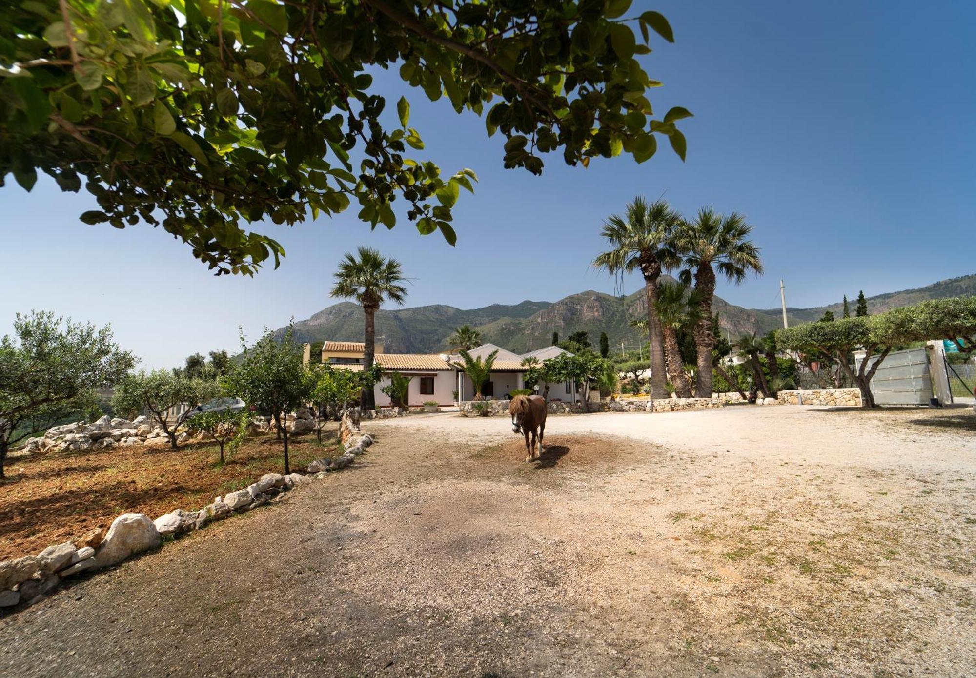 Kòre Residence Castellammare del Golfo Exterior foto